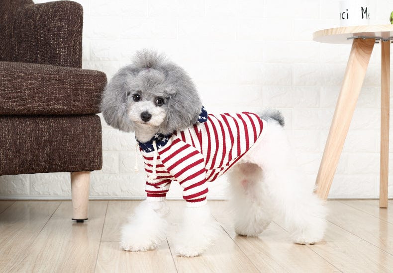 Dogs and Cats Boutique 6 Red / S Striped Small Dog Sweater