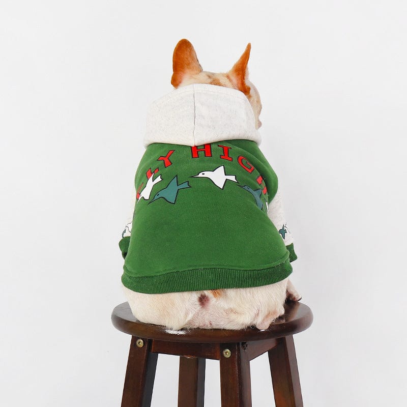 Dogs and Cats Boutique 6 Teddy Winter Hoodie Warm Green (To Get Done)