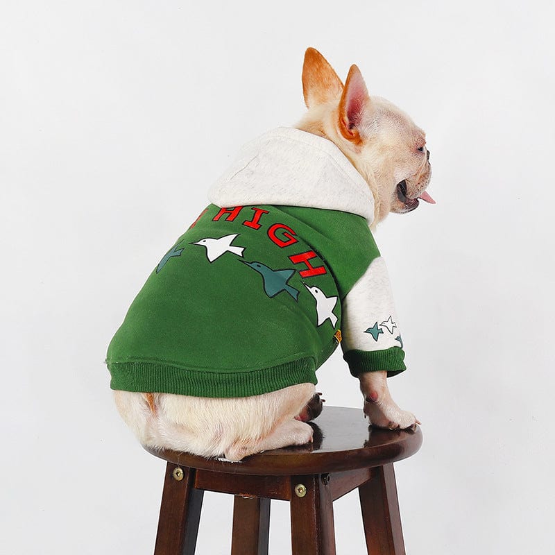 Dogs and Cats Boutique 6 Teddy Winter Hoodie Warm Green (To Get Done)