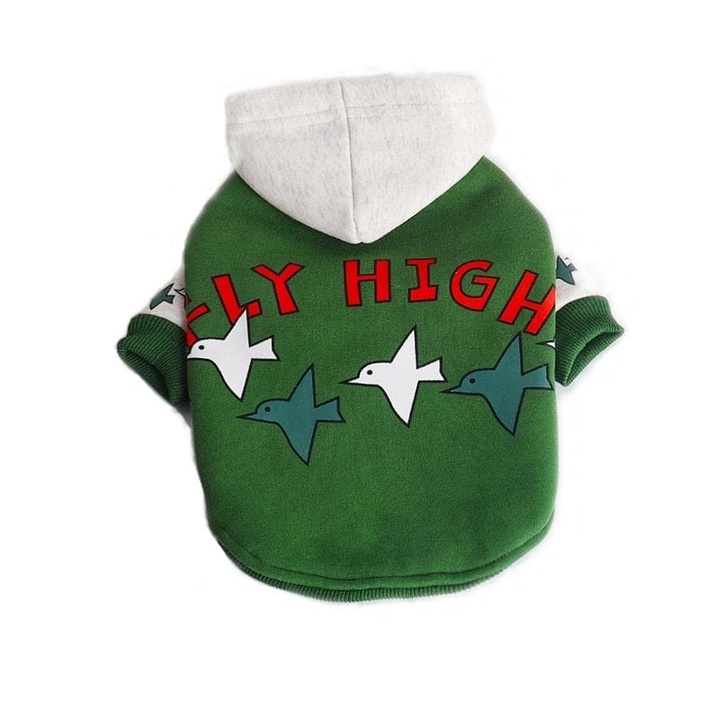 Dogs and Cats Boutique 6 Teddy Winter Hoodie Warm Green (To Get Done)