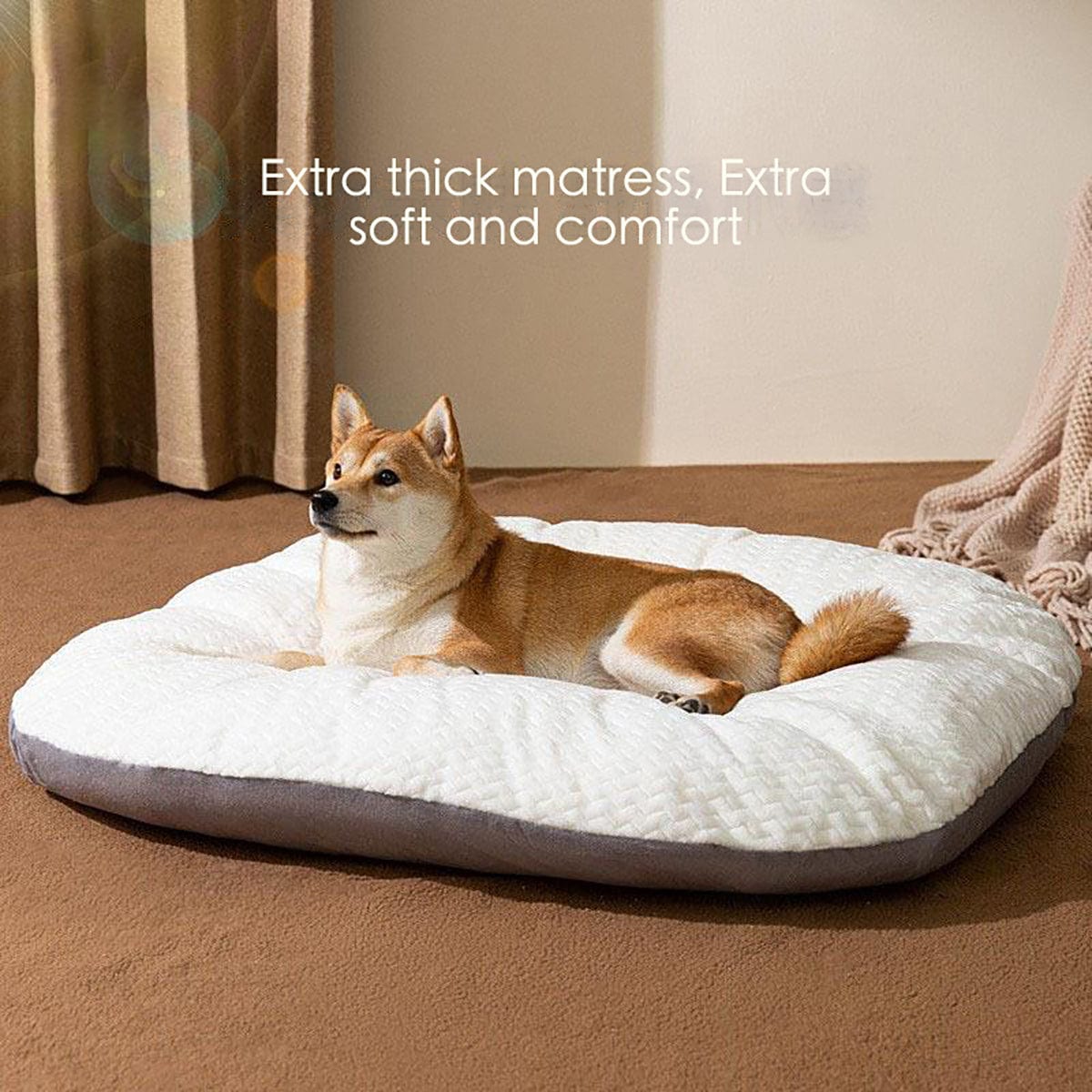 Dogs and Cats Boutique 9 Oval Shape Cushion For Large Dogs Comfortable Dog Bed Washable Beds For Crates (To Get Done)