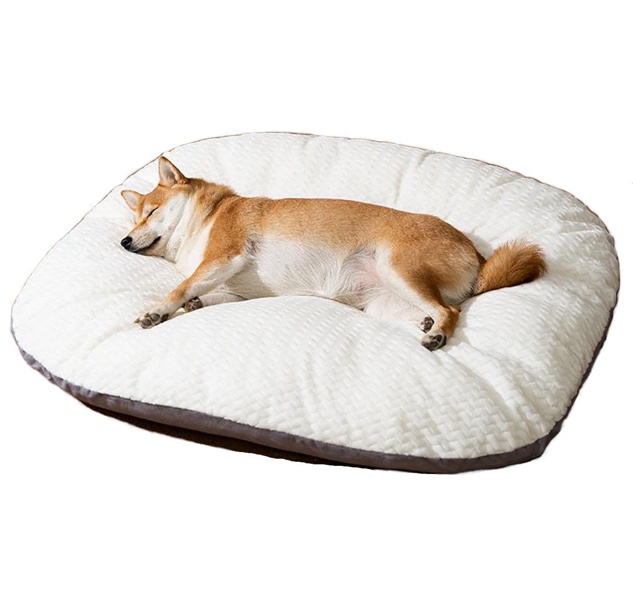 Dogs and Cats Boutique 9 Oval Shape Cushion For Large Dogs Comfortable Dog Bed Washable Beds For Crates (To Get Done)