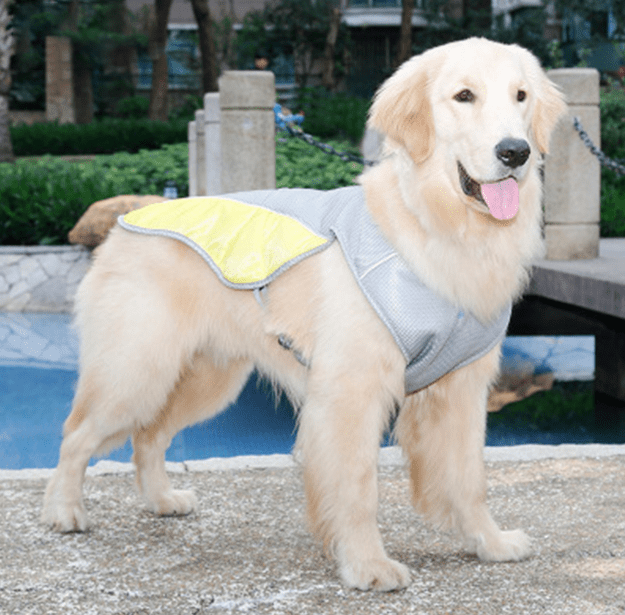 Dogs and Cats Boutique 1 L Summer Waterproof Dog Life Vest