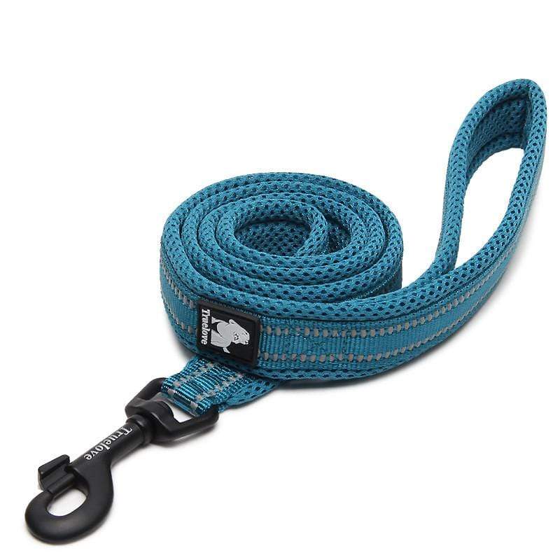 Dogs and Cats Boutique 10 Blue / 1.5CM×110CM Highly Durable Dog Leash