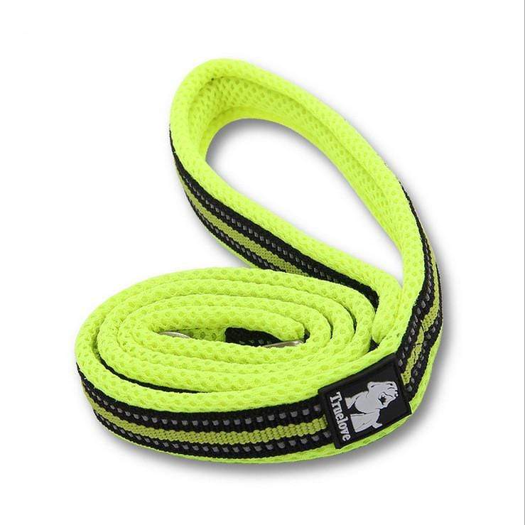 Dogs and Cats Boutique 10 Green / 2.5CM×200CM Highly Durable Dog Leash