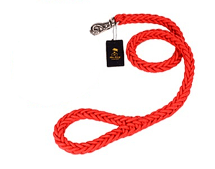 Dogs and Cats Boutique 10 Red / S Heavy Duty Metal Clasp Braided Dog Leash