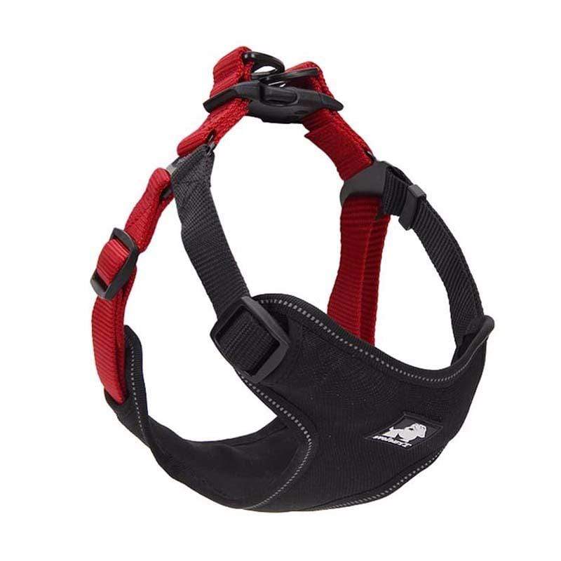 Dogs and Cats Boutique 11 Black red / M Full Adjustable Dog Harness