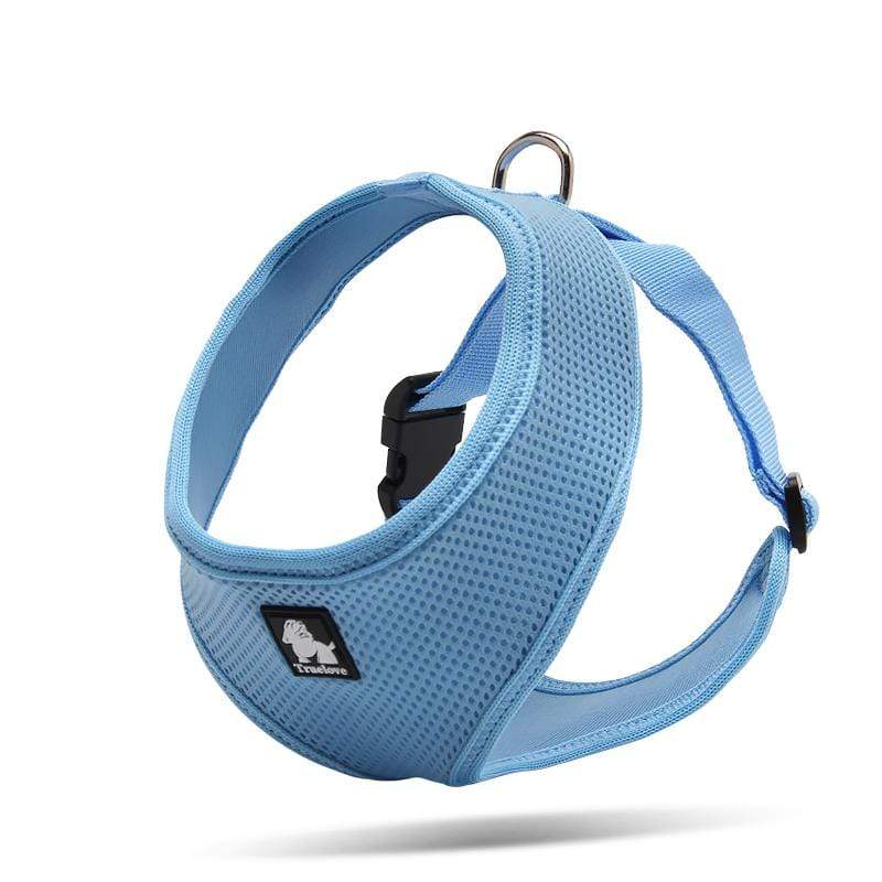 Dogs and Cats Boutique 11 Blue / S Breathable Dog Adjustable Harness