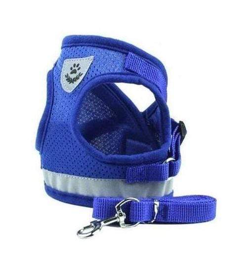 Dogs and Cats Boutique 11 Dog Harness Leash Set