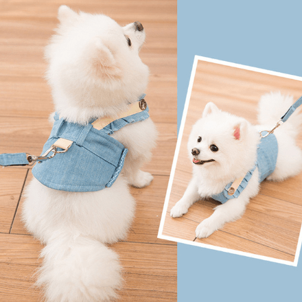 Dogs and Cats Boutique 11 Lake Blue / XXL Beauty Walking Harness Set