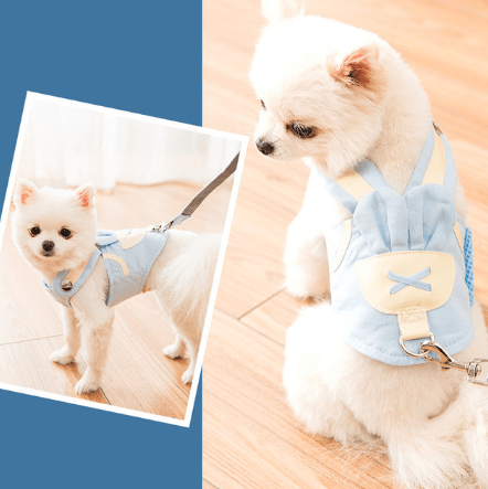 Dogs and Cats Boutique 11 Maka Blue / S Beauty Walking Harness Set