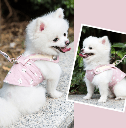 Dogs and Cats Boutique 11 Pink cat / XXL Beauty Walking Harness Set