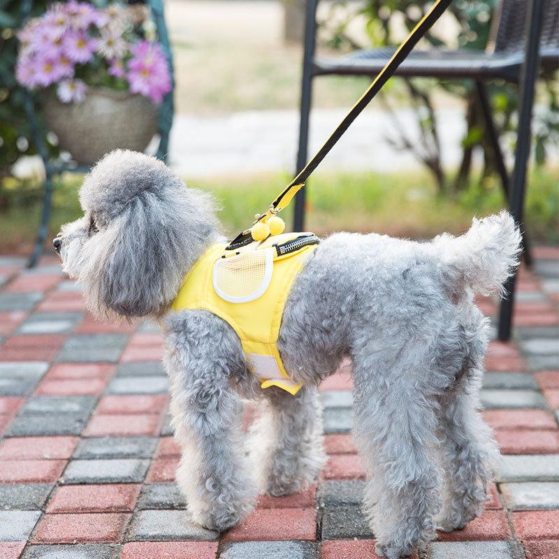 Dogs and Cats Boutique 11 Striped Bee Dog Harness With Leash