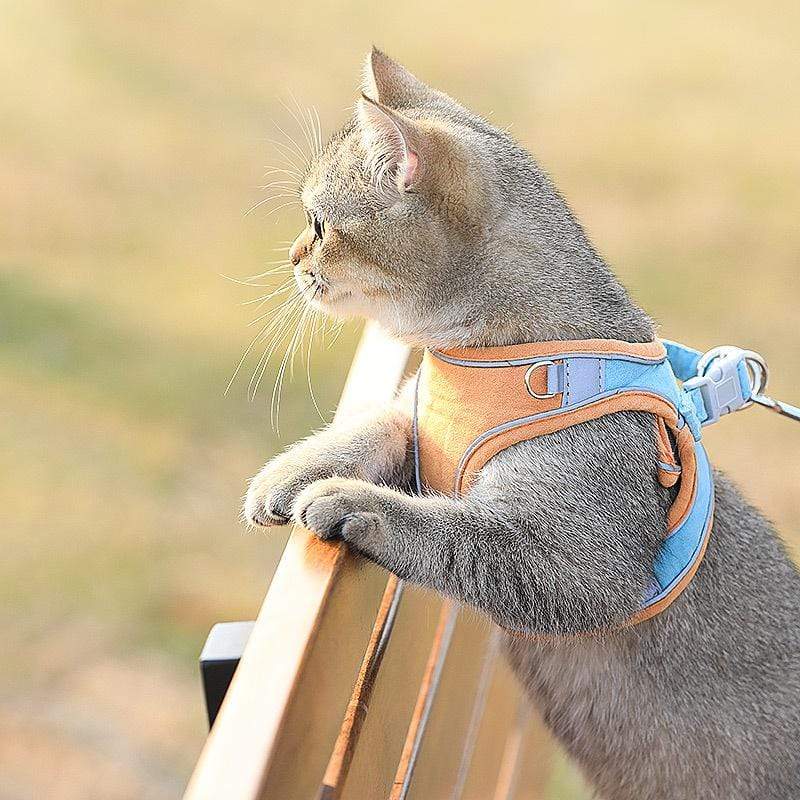 Dogs and Cats Boutique 11 Vest-Style Chest Cat Harness