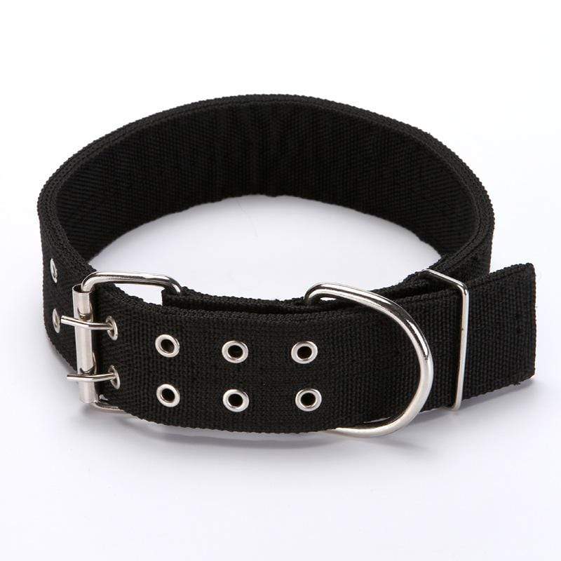 Dogs and Cats Boutique 12 Black / M Adjustable Nylon Dog Collar