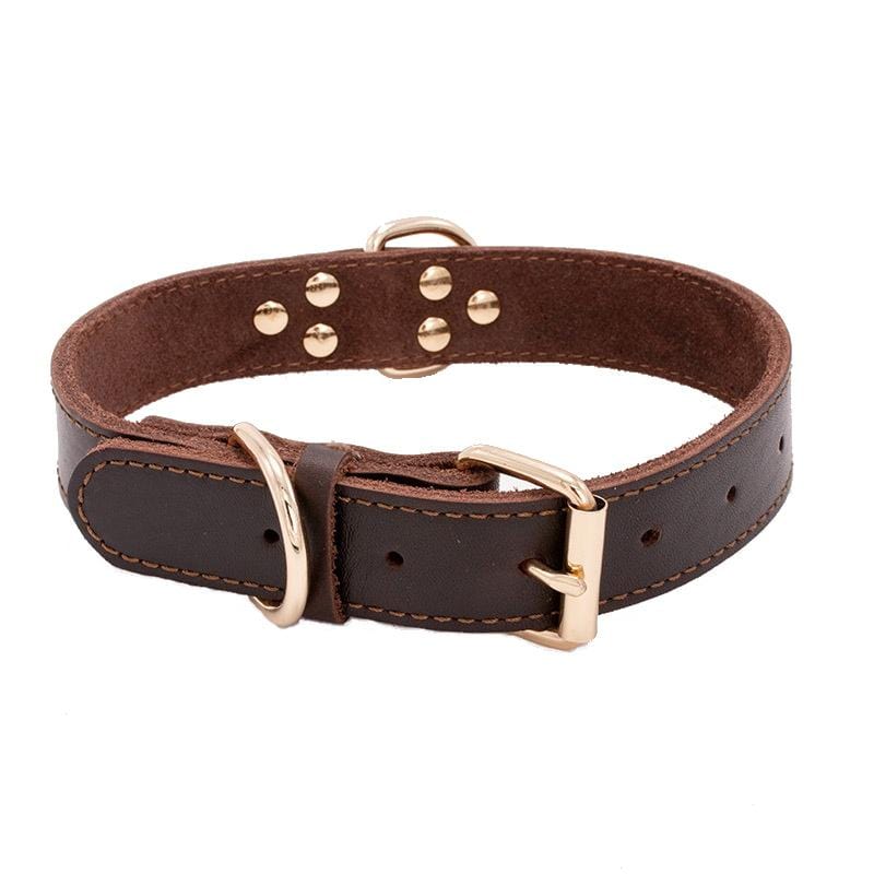 Dogs and Cats Boutique 12 Dog Leather Adjustable Collar