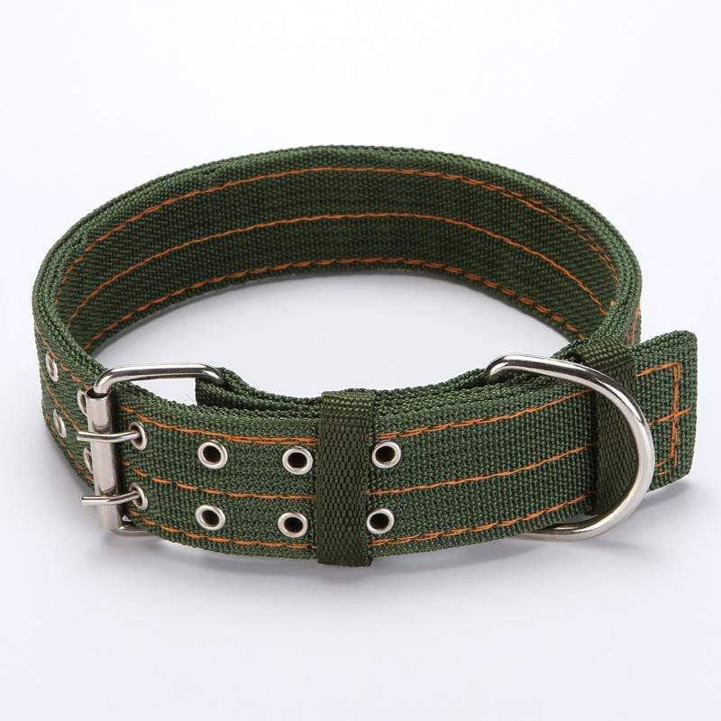 Dogs and Cats Boutique 12 Green / M Adjustable Nylon Dog Collar