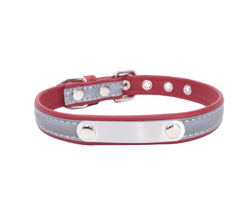 Dogs and Cats Boutique 12 Red / L Dog Collar with Stainless Steel Nameplate