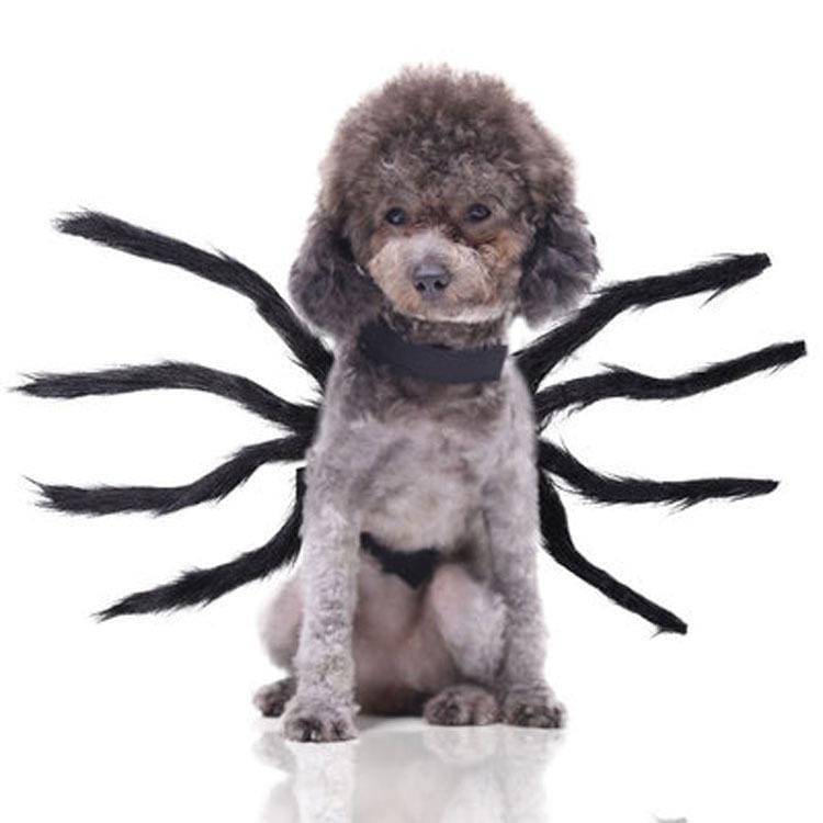 Dogs and Cats Boutique 14 Black Spider Pet Cosplay Costume