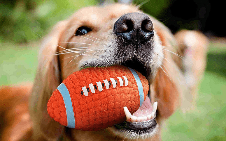 Dogs and Cats Boutique 15 Bite-Resistant Dog Teeth Toy Ball