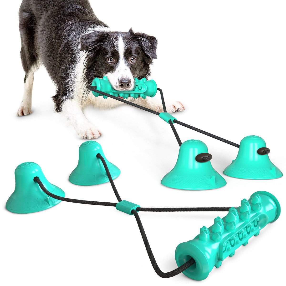 Dogs and Cats Boutique 15 Blue Double Suction Cup Dog Chew Toy