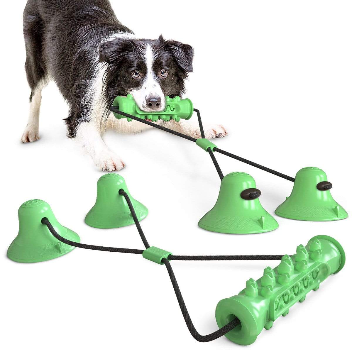 Dogs and Cats Boutique 15 Green Double Suction Cup Dog Chew Toy