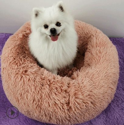 Dogs and Cats Boutique 16 Ultra Soft Pet Bed