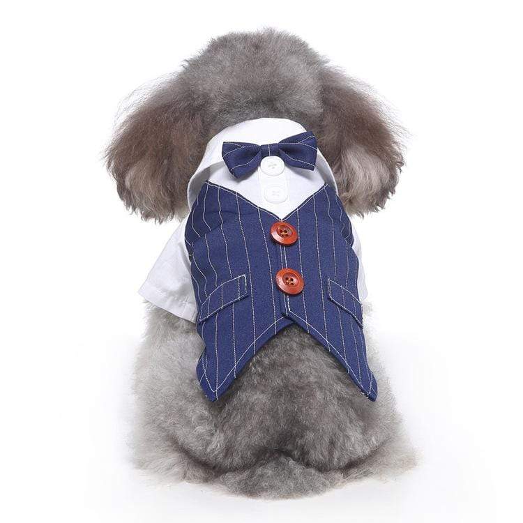 Dogs and Cats Boutique 2 10 style / L Plaid Dog Suit