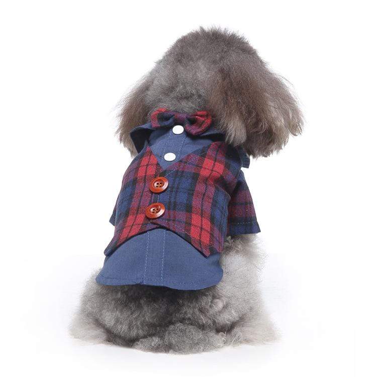 Dogs and Cats Boutique 2 11 style / XL Plaid Dog Suit