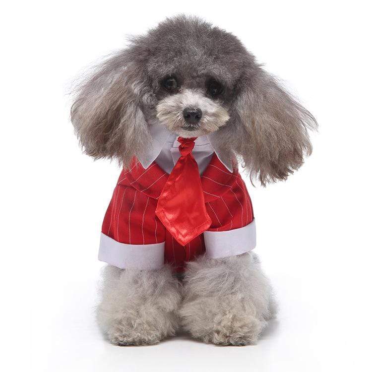 Dogs and Cats Boutique 2 13 style / S Plaid Dog Suit