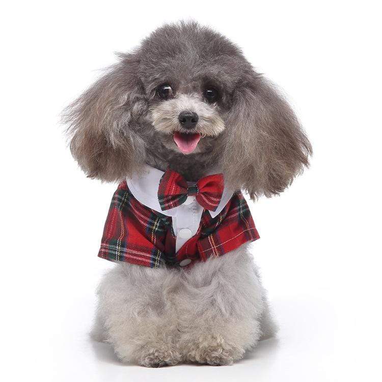 Dogs and Cats Boutique 2 14 style / S Plaid Dog Suit