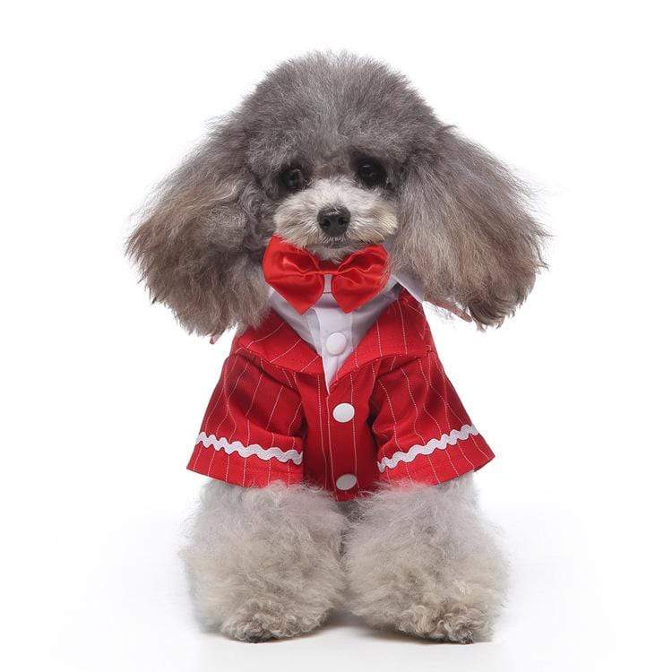 Dogs and Cats Boutique 2 15 style / L Plaid Dog Suit