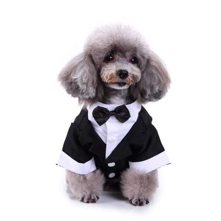 Dogs and Cats Boutique 2 2 style / S Plaid Dog Suit