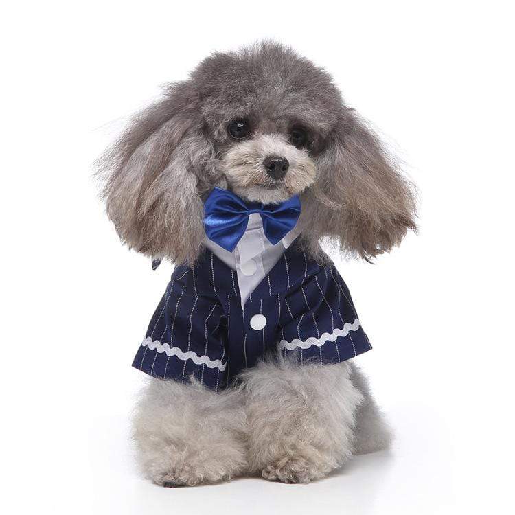 Dogs and Cats Boutique 2 9 style / S Plaid Dog Suit