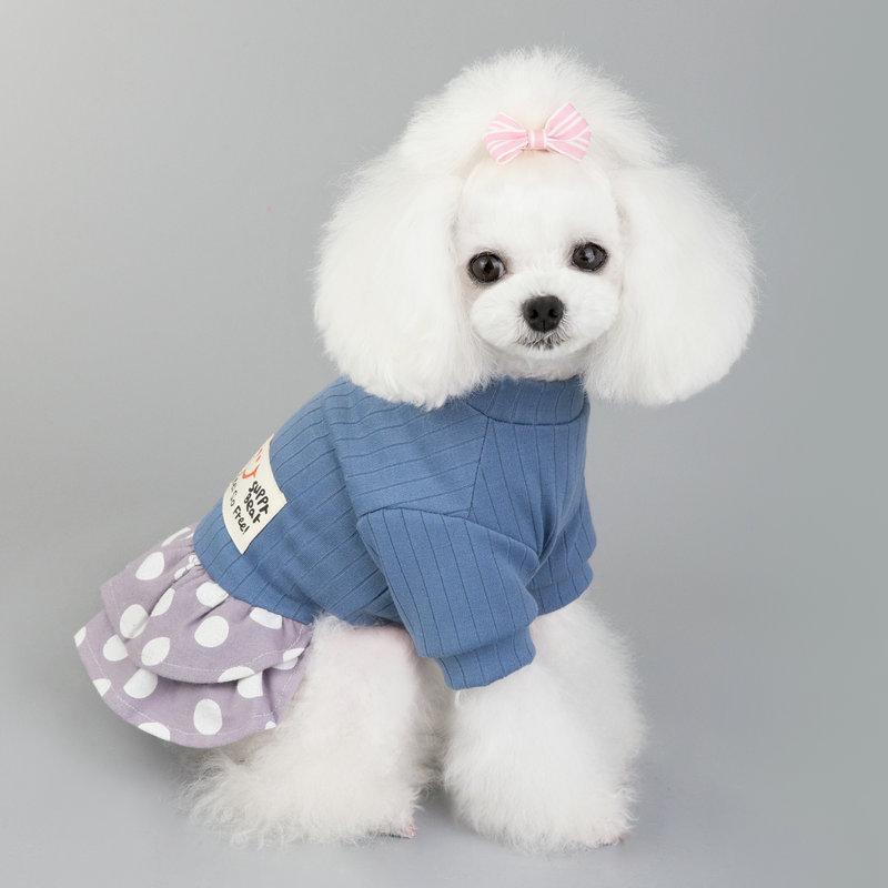 Dogs and Cats Boutique 2 Blue / S Polka Dot Sweater Pet Dress