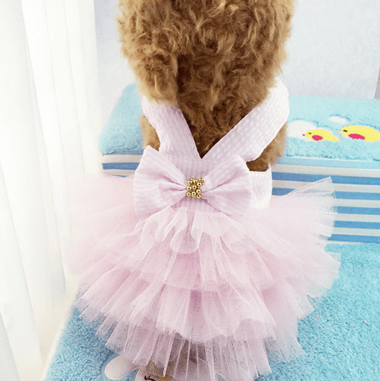 Dogs and Cats Boutique 2 Bowknot Ruffle Sleeveless Dress