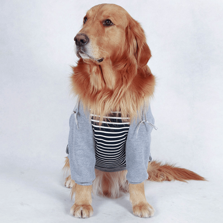 Dogs and Cats Boutique 2 Grey / 30 Striped Hooded Dog Sweater