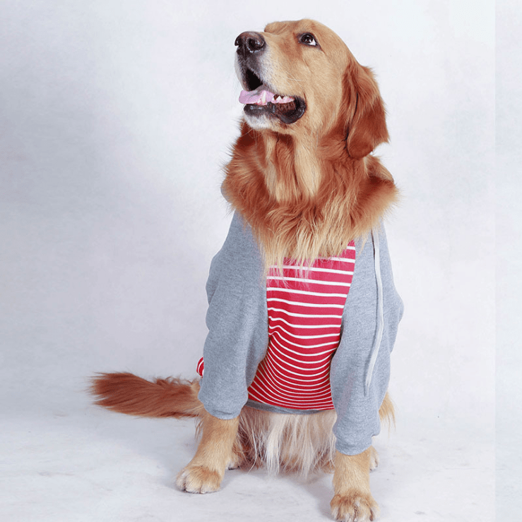 Dogs and Cats Boutique 2 Red / 30 Striped Hooded Dog Sweater