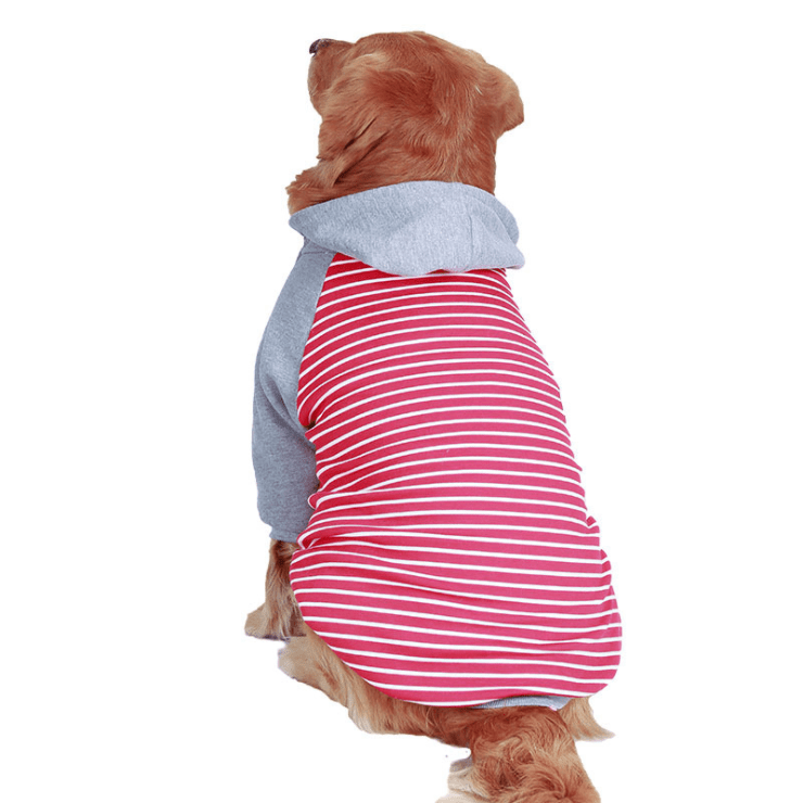 Dogs and Cats Boutique 2 Striped Hooded Dog Sweater