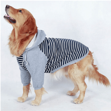 Dogs and Cats Boutique 2 Striped Hooded Dog Sweater