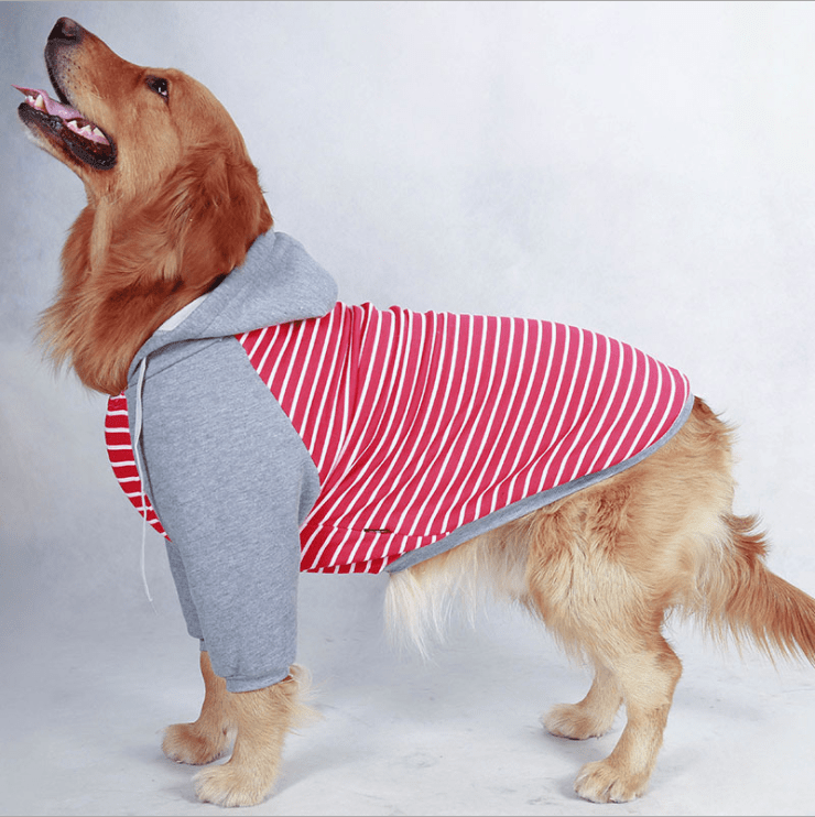 Dogs and Cats Boutique 2 Striped Hooded Dog Sweater