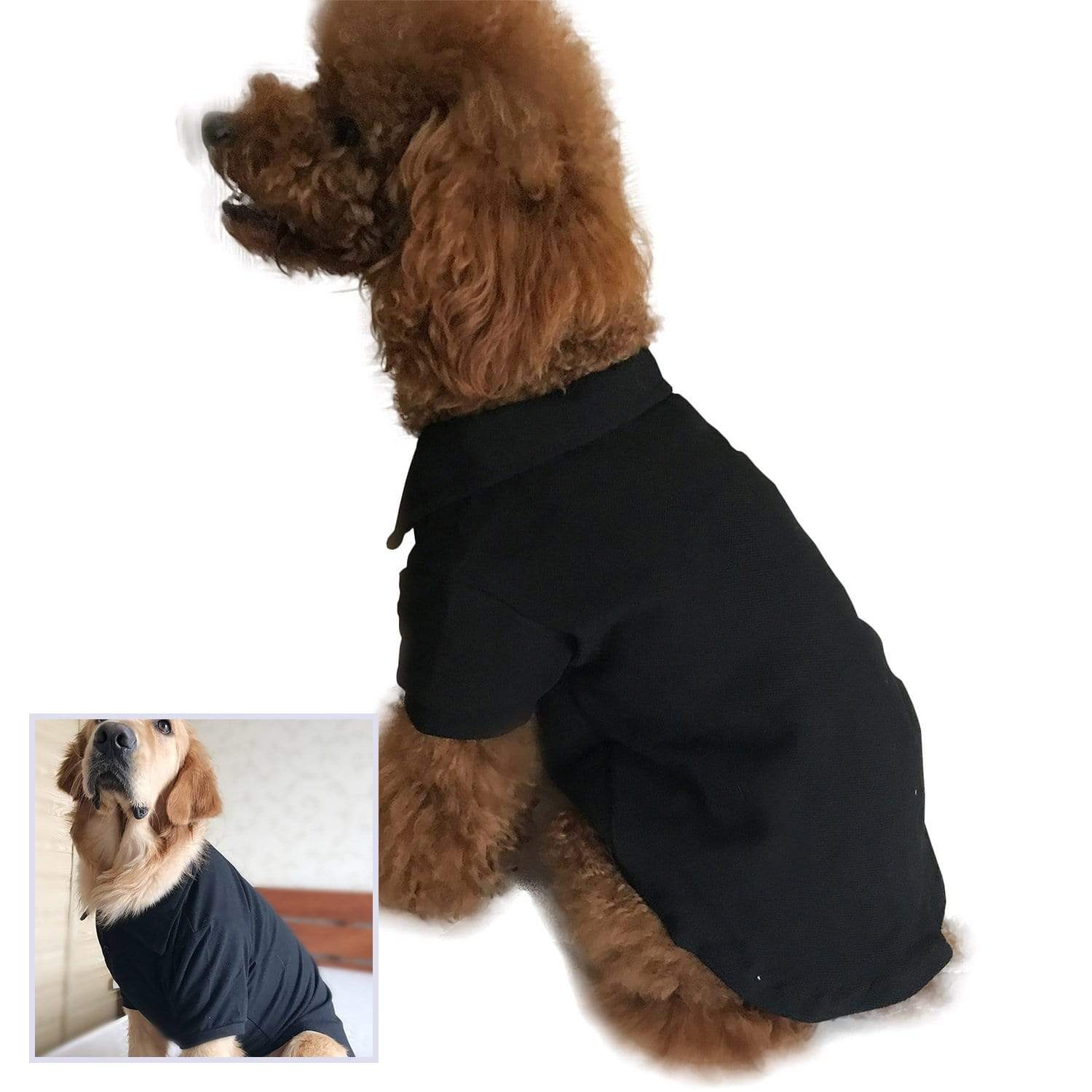 Dogs and Cats Boutique 3 Black / M Casual Dog Polo Shirt