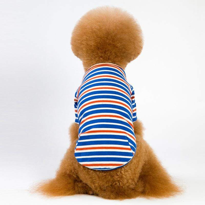 Dogs and Cats Boutique 3 Blue / S Cute Pet Striped T-shirt