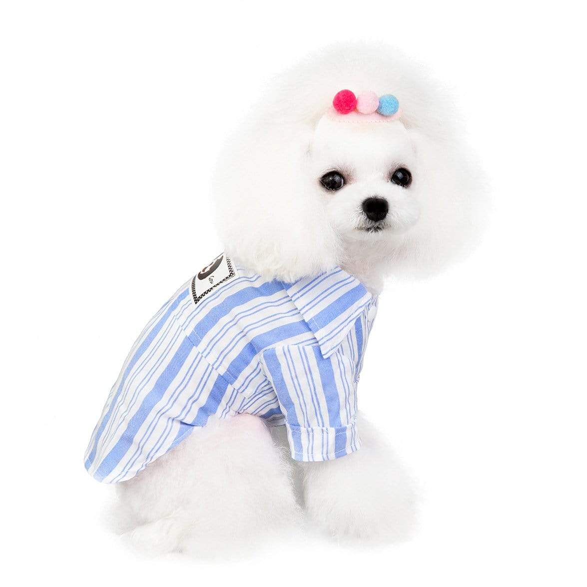 Dogs and Cats Boutique 3 Blue / S Dog Striped Pet Shirt