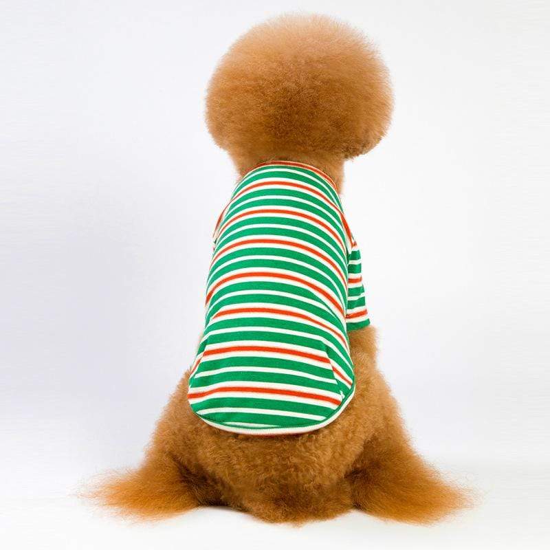 Dogs and Cats Boutique 3 Green / 2XL Cute Pet Striped T-shirt