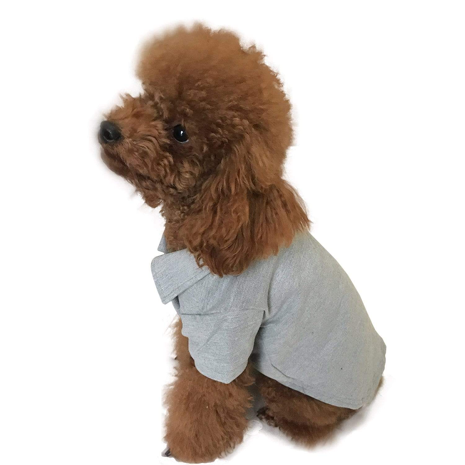 Dogs and Cats Boutique 3 Grey / M Casual Dog Polo Shirt