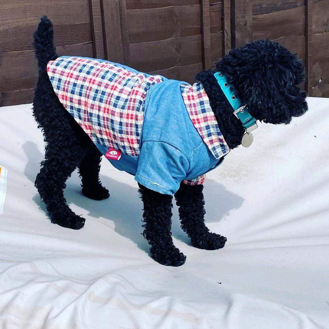 Dogs and Cats Boutique 3 Plaid Stitching Bichon Poodle Shirt