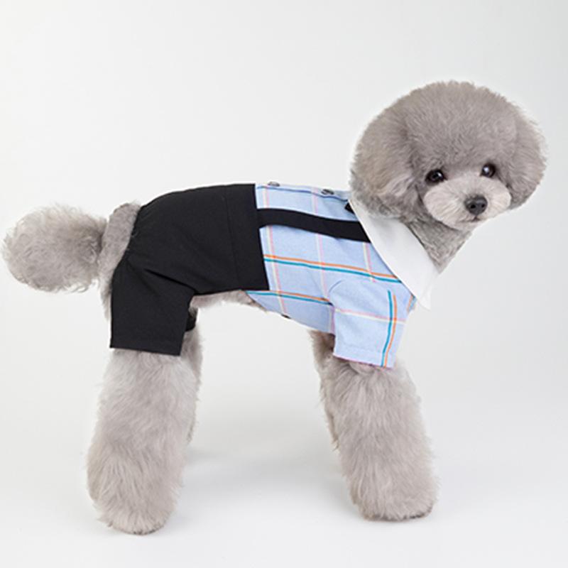 Dogs and Cats Boutique 3 SET3 / S Couple Wear Student Suit