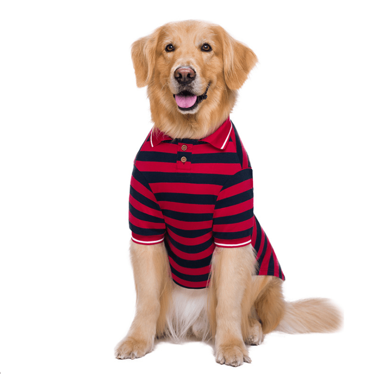 Dogs and Cats Boutique 3 Striped Polo Shirt