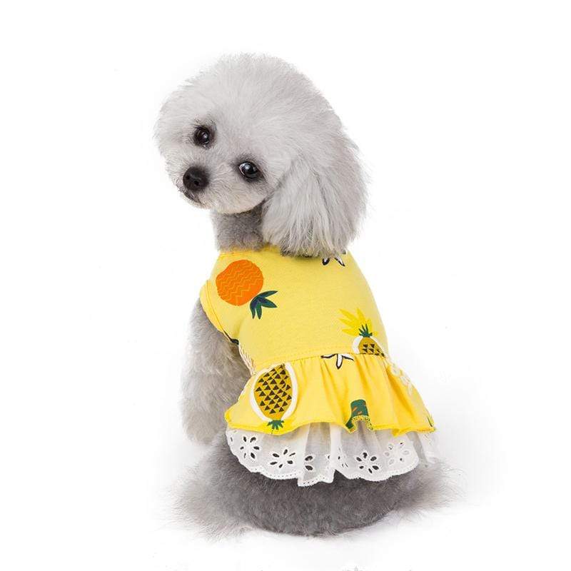 Dogs and Cats Boutique 3 Yellow / B / XL Pineapple Printed Dog Dress